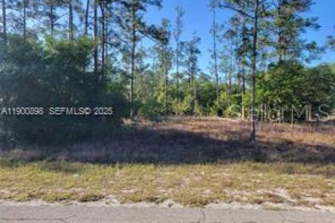 Land in Lehigh Acres, Florida № 2118260