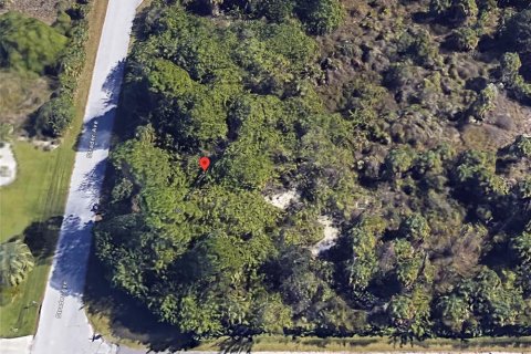 Terreno en Port Charlotte, Florida № 2212481