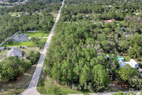 Land in Spring Hill, Florida № 1838009 - photo 3