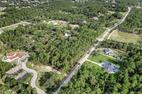 Land in Spring Hill, Florida № 1838009 - photo 9