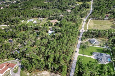 Land in Spring Hill, Florida № 1838009 - photo 8