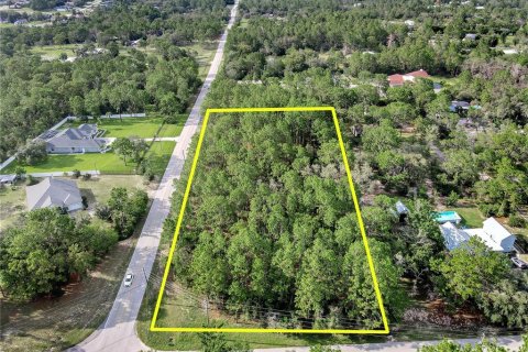 Land in Spring Hill, Florida № 1838009 - photo 13