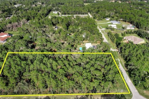 Land in Spring Hill, Florida № 1838009 - photo 14