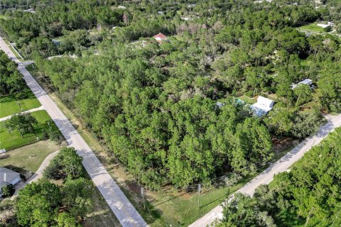 Land in Spring Hill, Florida № 1838009 - photo 1