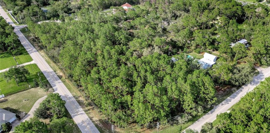 Land in Spring Hill, Florida № 1838009