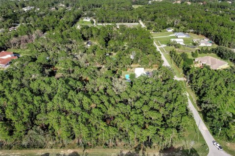 Land in Spring Hill, Florida № 1838009 - photo 4