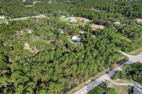 Land in Spring Hill, Florida № 1838009 - photo 5