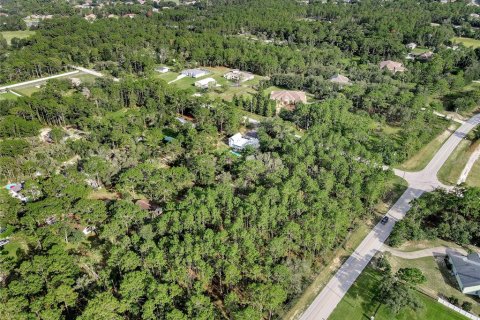 Land in Spring Hill, Florida № 1838009 - photo 6