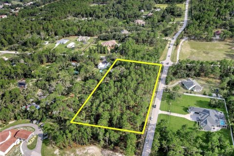 Land in Spring Hill, Florida № 1838009 - photo 15