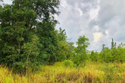 Terrain à vendre à Ocala, Floride № 213986 - photo 6