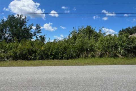 Land in Port Charlotte, Florida № 2128655