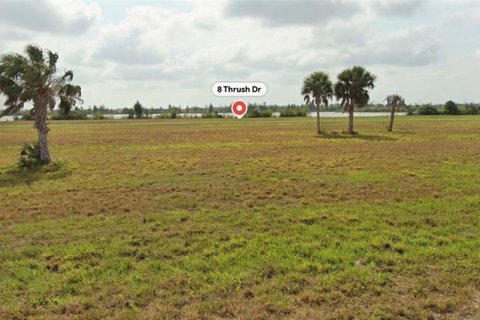 Land in Placida, Florida № 2166758