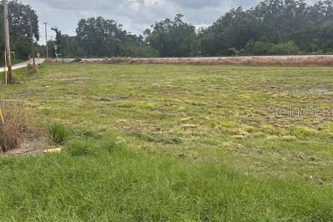 Land in Winter Haven, Florida № 1770034 - photo 6