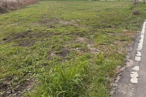 Land in Winter Haven, Florida № 1770034 - photo 2