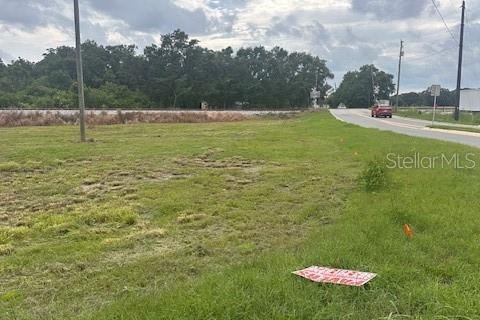 Land in Winter Haven, Florida № 1770034 - photo 8