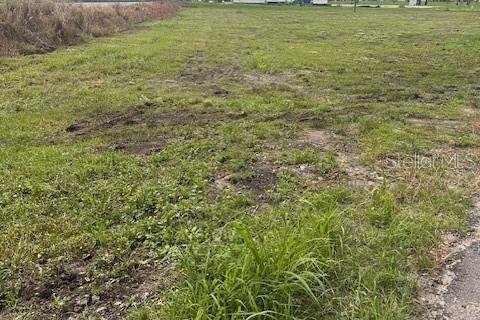 Land in Winter Haven, Florida № 1770034 - photo 3