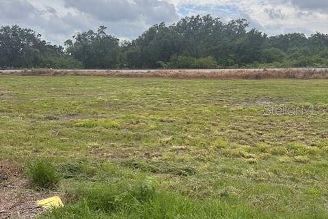 Land in Winter Haven, Florida № 1770034 - photo 7