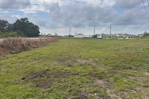 Land in Winter Haven, Florida № 1770034 - photo 4