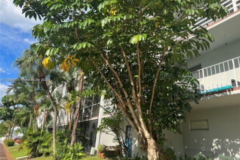 Apartment in Fort Lauderdale, Florida 1 bedroom, 49.7 sq.m. № 2016526 - photo 19