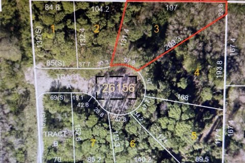 Land in Palm Harbor, Florida № 1307877 - photo 1