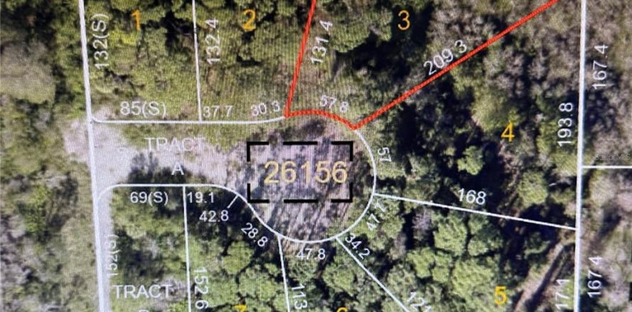 Land in Palm Harbor, Florida № 1307877