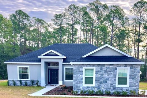 House in Eustis, Florida 4 bedrooms, 152.73 sq.m. № 1742846 - photo 1
