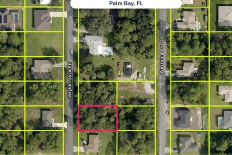 Land in Palm Bay, Florida № 2163484 - photo 3