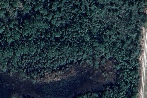 Land in Georgetown, Florida № 1550055 - photo 2