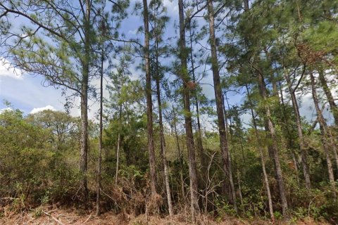 Land in Georgetown, Florida № 1550055 - photo 1