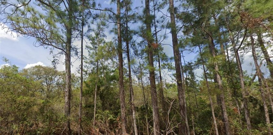 Land in Georgetown, Florida № 1550055