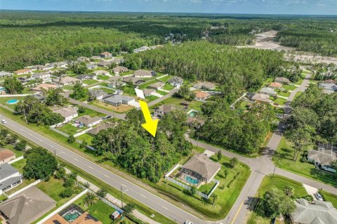 Terreno en venta en Palm Coast, Florida № 2102354 - foto 7