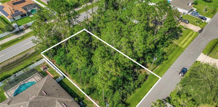 Terreno en Palm Coast, Florida № 2102354