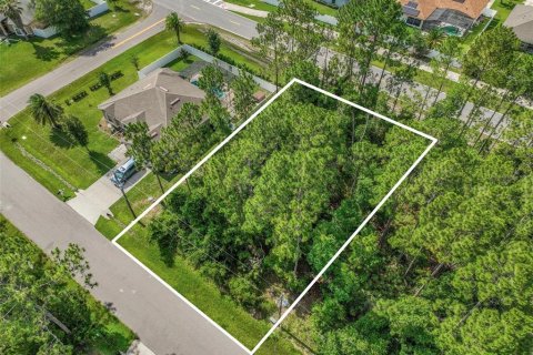 Terreno en venta en Palm Coast, Florida № 2102354 - foto 2
