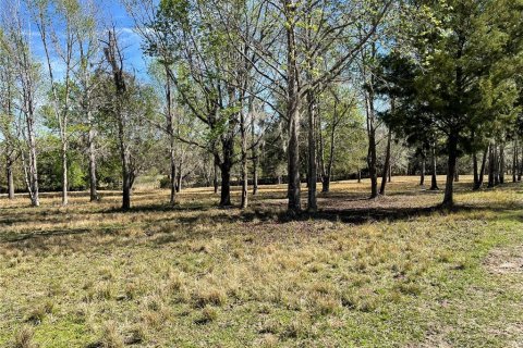 Terreno en venta en Brooksville, Florida № 1552194 - foto 23