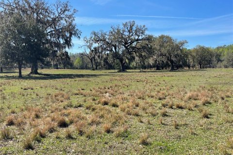 Terreno en venta en Brooksville, Florida № 1552194 - foto 12