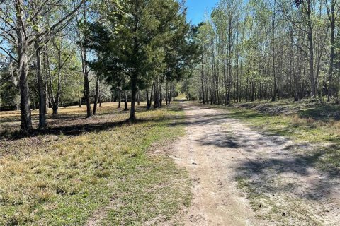 Terreno en venta en Brooksville, Florida № 1552194 - foto 24