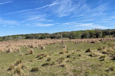 Terreno en venta en Brooksville, Florida № 1552194 - foto 21