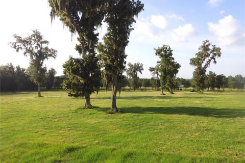 Terreno en venta en Brooksville, Florida № 1552194 - foto 3