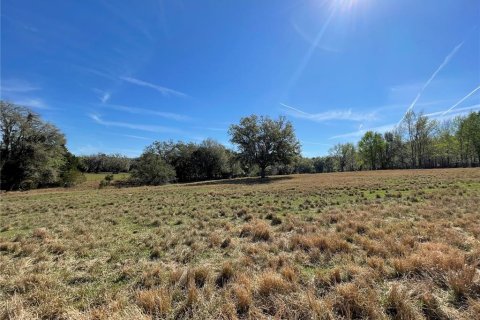 Terreno en venta en Brooksville, Florida № 1552194 - foto 18
