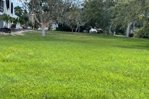 Land in Holiday, Florida № 1876763 - photo 10