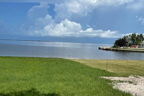 Land in Holiday, Florida № 1876763 - photo 8