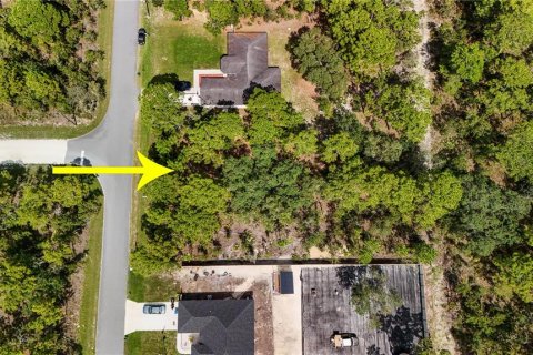 Terreno en venta en Weeki Wachee, Florida № 1856762 - foto 14