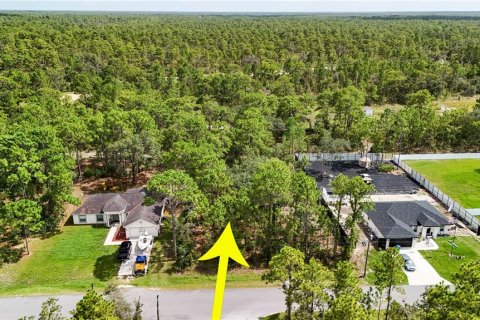 Terreno en venta en Weeki Wachee, Florida № 1856762 - foto 2