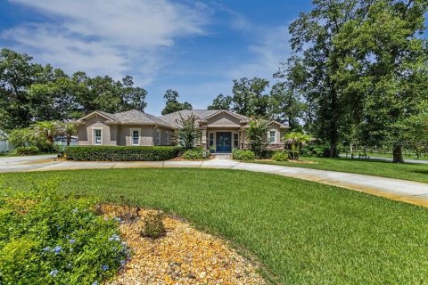 Villa ou maison à vendre à DeLand, Floride: 3 chambres, 208.66 m2 № 2425959 - photo 2