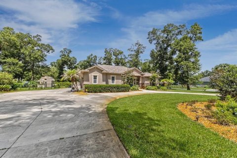 Villa ou maison à vendre à DeLand, Floride: 3 chambres, 208.66 m2 № 2425959 - photo 3