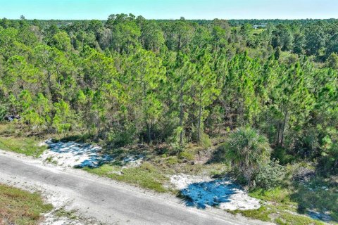 Terreno en venta en Lehigh Acres, Florida № 2164396 - foto 2