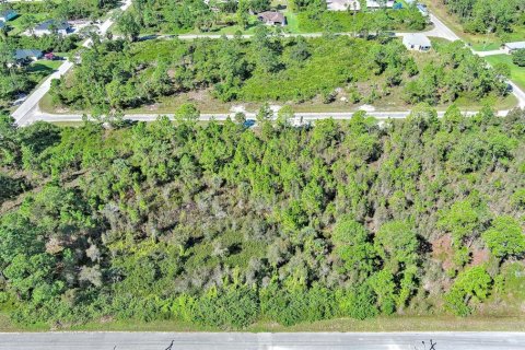 Terreno en venta en Lehigh Acres, Florida № 2164396 - foto 23