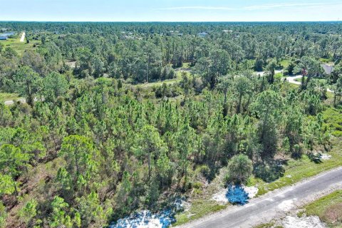 Terreno en venta en Lehigh Acres, Florida № 2164396 - foto 5