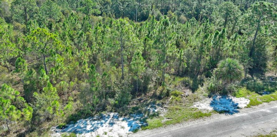 Terreno en Lehigh Acres, Florida № 2164396