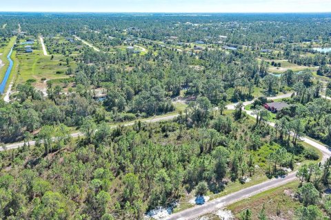 Terreno en venta en Lehigh Acres, Florida № 2164396 - foto 14
